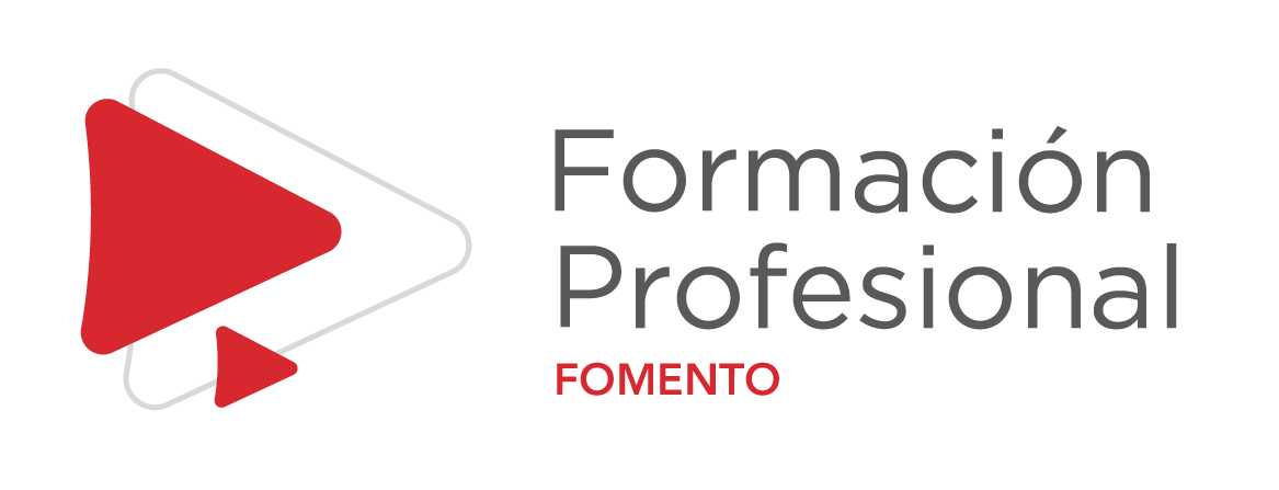 Formation Profesional1